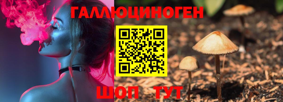 Галлюциногенные грибы Psilocybine cubensis  Псилоцибиновые грибы Psilocybe  Вход с VPN  Кумертау 
